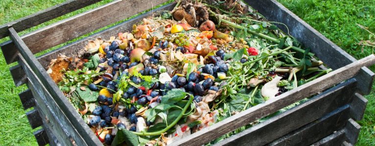 The dos and don’ts of composting